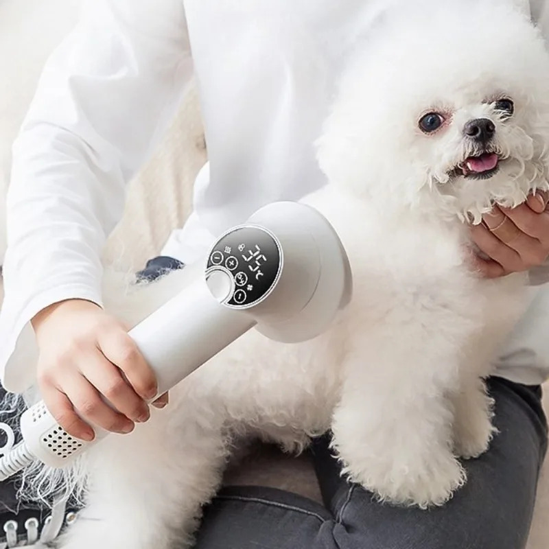Pet Supplies And More - Pengering Rambut Profesional untuk Hewan Peliharaan