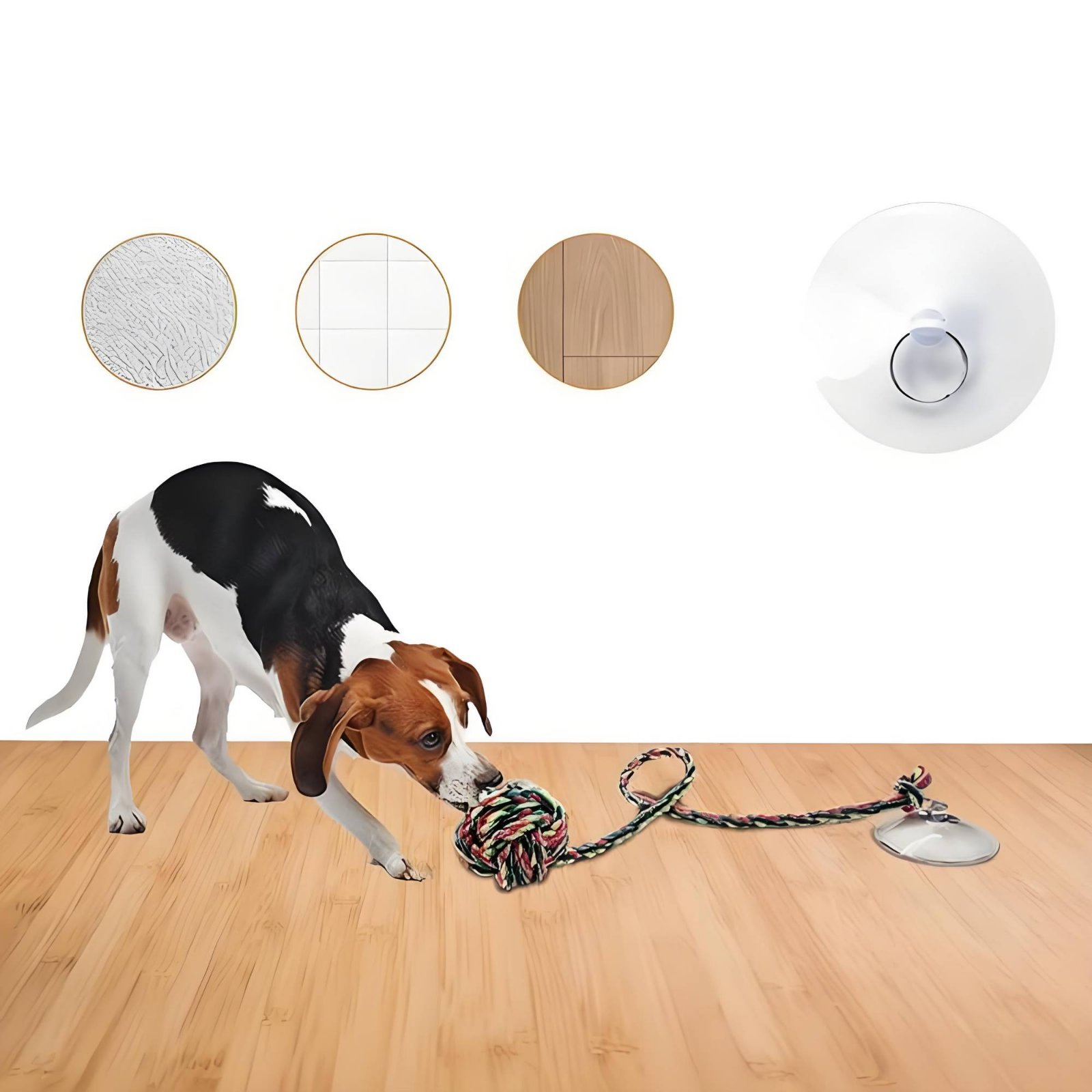 Pet Supplies Young - Mainan Anjing Suction Disc Interaktif, Mainan