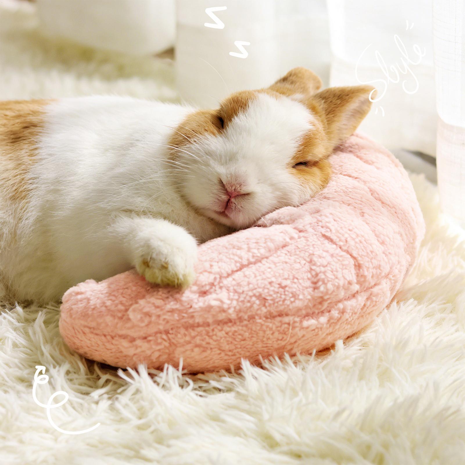 Pet Supplies App - Bantal Leher Pelindung Tidur Nyenyak Bentuk