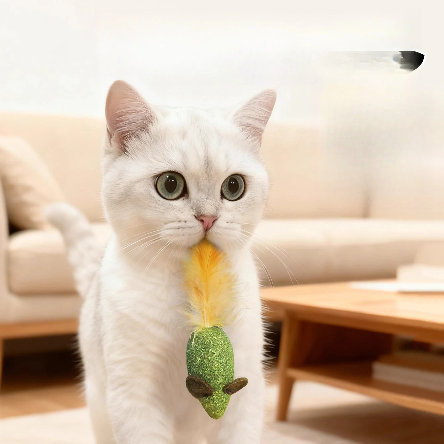 Set Mainan Tongkat Penggoda In - Pet Supplies Young ulasan dan harga