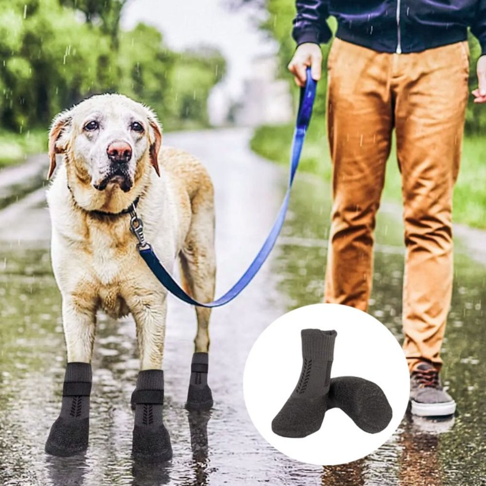 4 Buah Sepatu Kaus Kaki Hewan  - Pet Supplies App ulasan dan harga