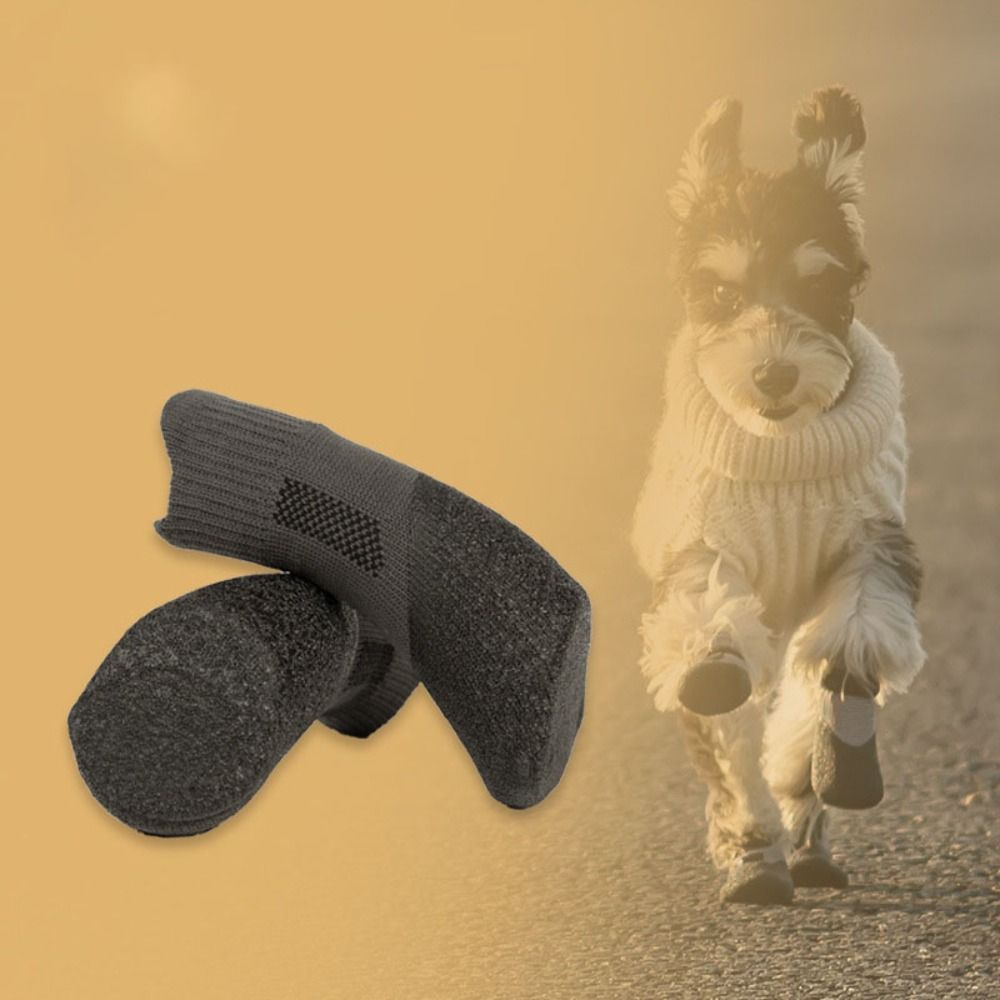 4 Buah Sepatu Kaus Kaki Hewan  - Pet Supplies App ulasan dan harga