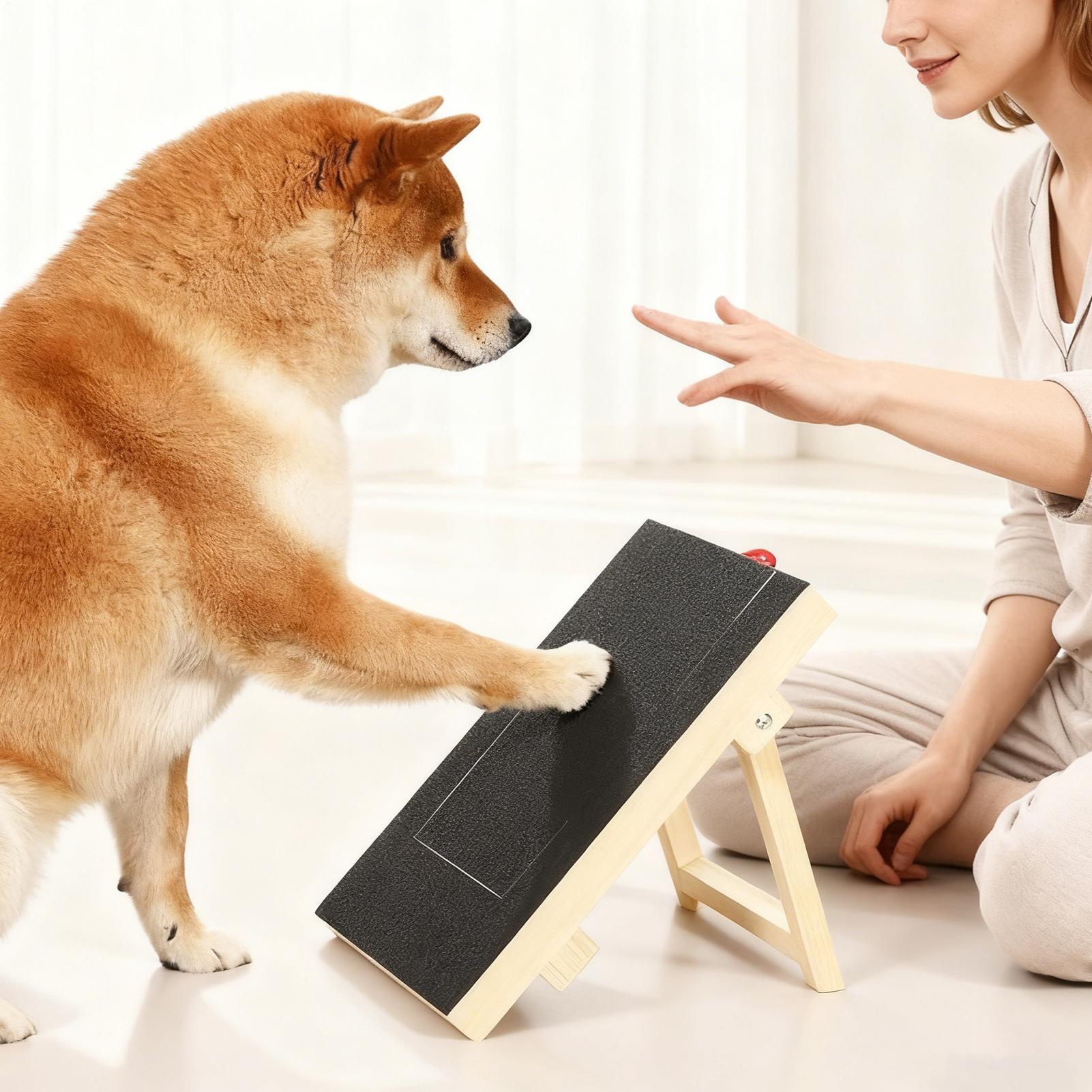 Papan Pengikir Kuku Anjing den - Pet Nail Grinder ulasan dan harga
