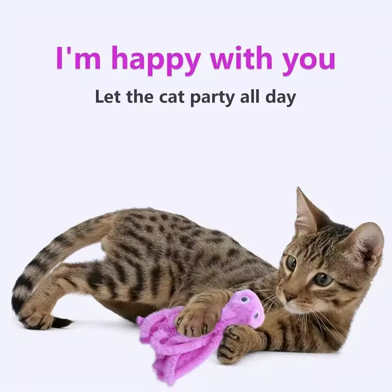 Mainan kucing gurita lucu untu - Pet Supplies Young ulasan dan harga