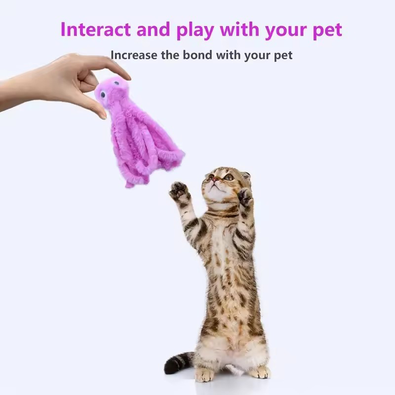 Mainan kucing gurita lucu untu - Pet Supplies Young ulasan dan harga