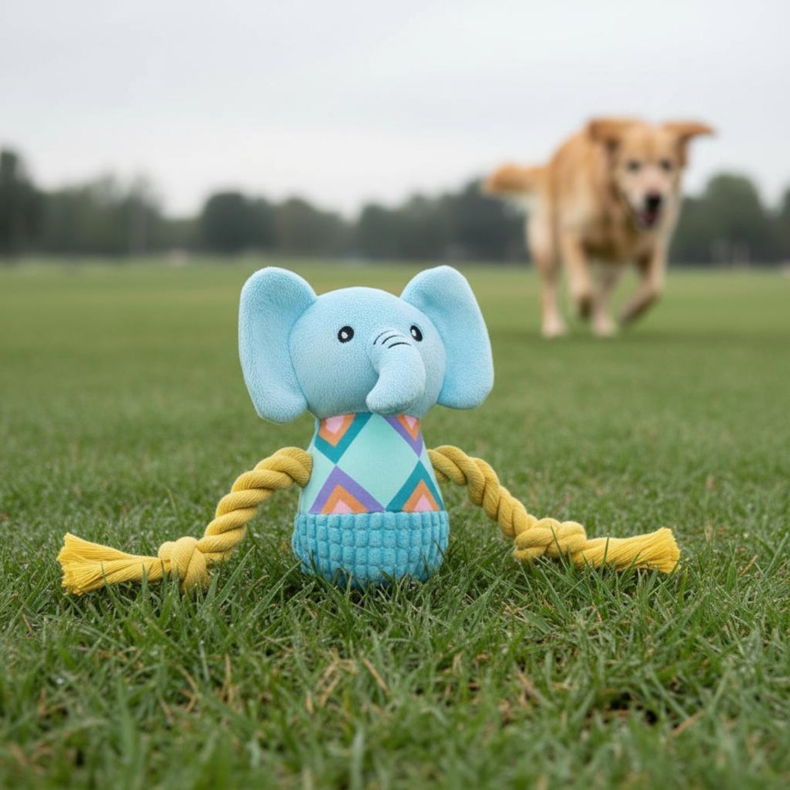 Mainan Gigit Anjing Lembut Pen - Pet Supplies Young ulasan dan harga
