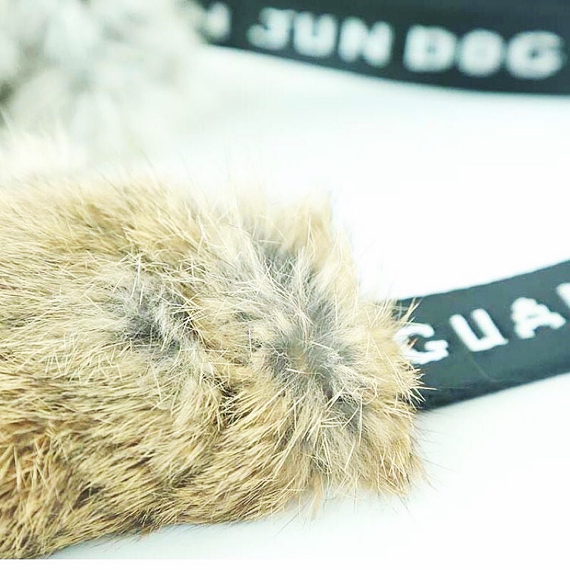 Kain Gigitan Anjing Kulit Keli - Pet Supplies Young ulasan dan harga