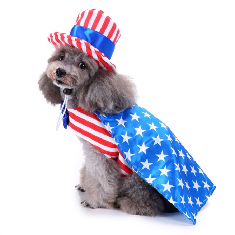 Pakaian anjing persediaan hewa - Pet Supplies And More ulasan dan harga