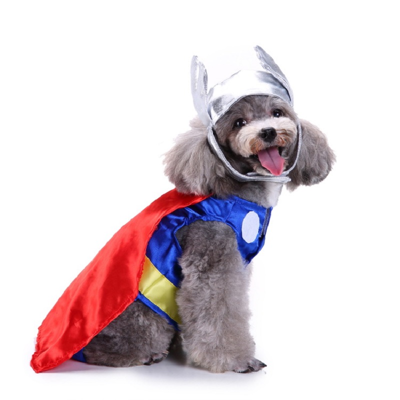 Pakaian anjing persediaan hewa - Pet Supplies And More ulasan dan harga
