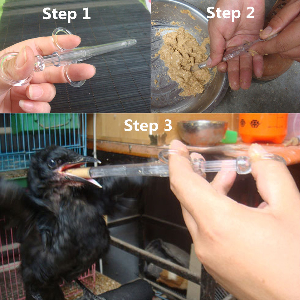 Jarum Suntik Makanan Burung Ba - Pet Supplies Young ulasan dan harga
