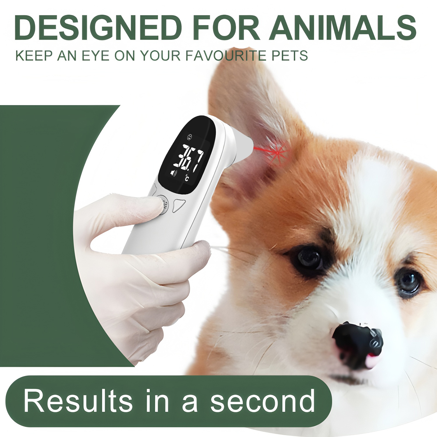 Termometer Telinga Hewan Pelih - Pet Supplies App ulasan dan harga