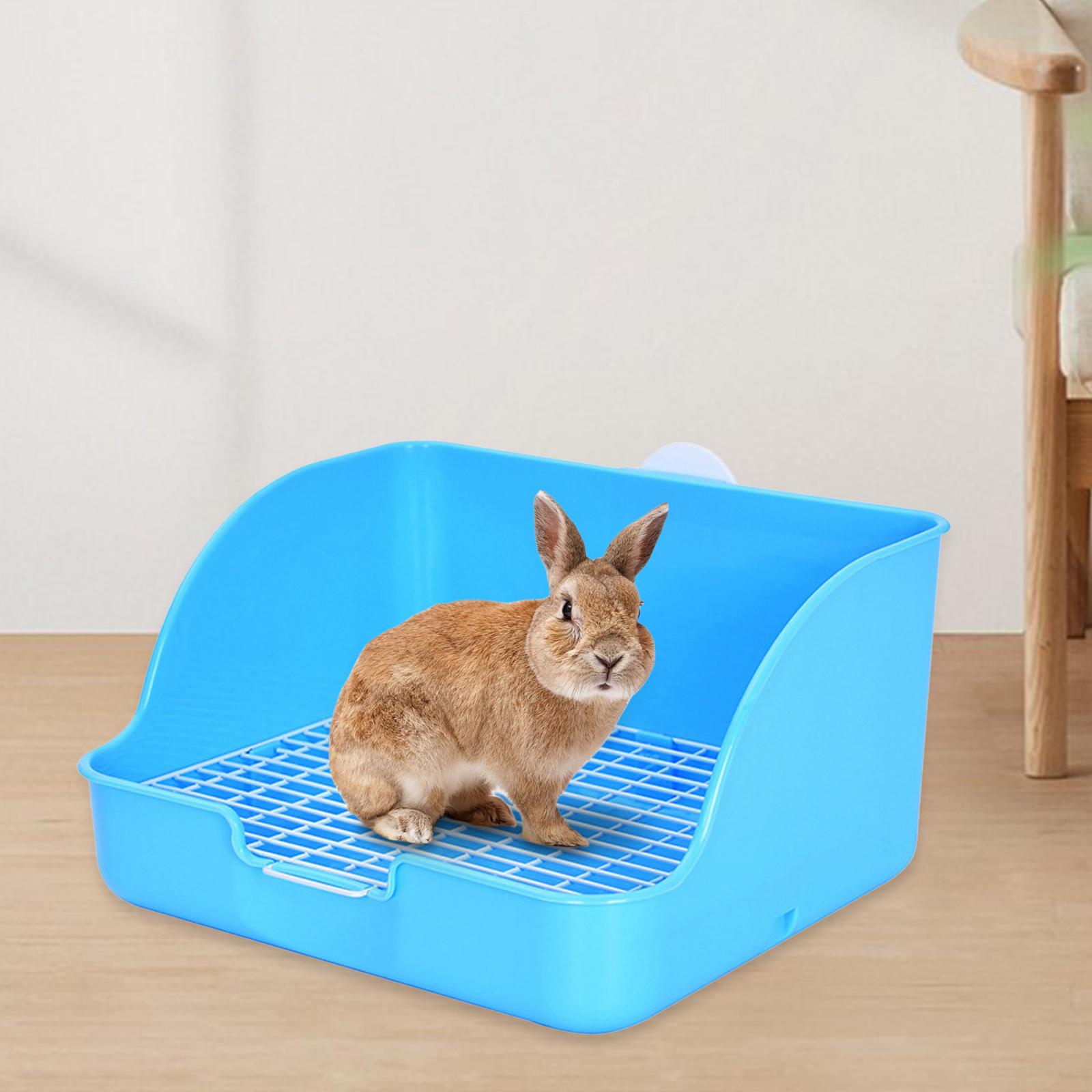Kotak sampah kelinci persegi p - Pet Supplies Outlet ulasan dan harga