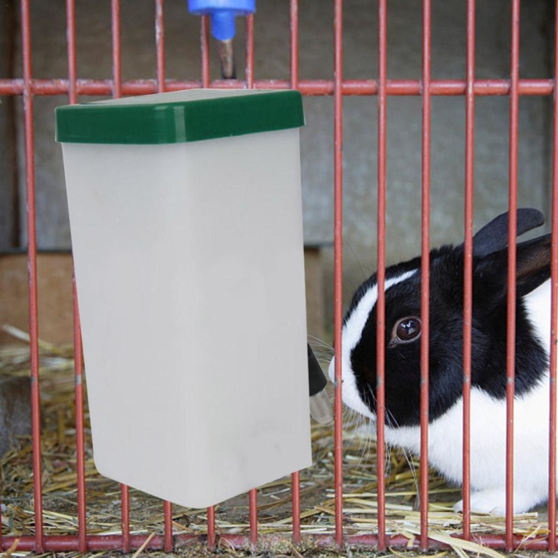 Dispenser Botol Air Minum Hewa - Pet Supplies App ulasan dan harga
