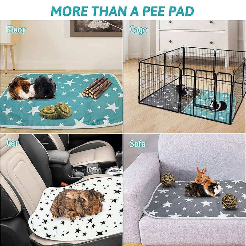 Bantalan kencing penyerap dapa - Pet Supplies Outlet ulasan dan harga