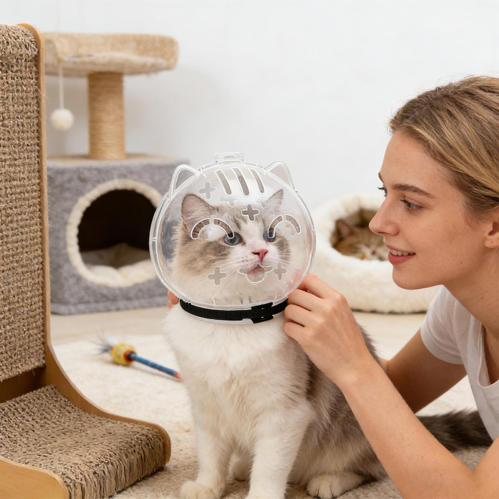 Penutup Mulut Kucing Transpara - Pet Supplies Young ulasan dan harga