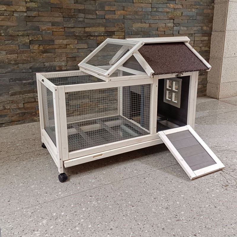 Kandang Hewan Peliharaan Ekstr - Pet Supplies And More ulasan dan harga