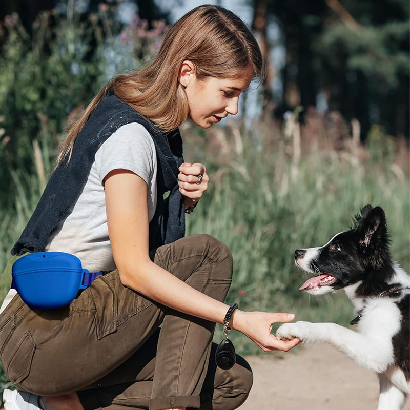 Tas Pinggang latihan anjing po - Pet Supplies Rewards ulasan dan harga