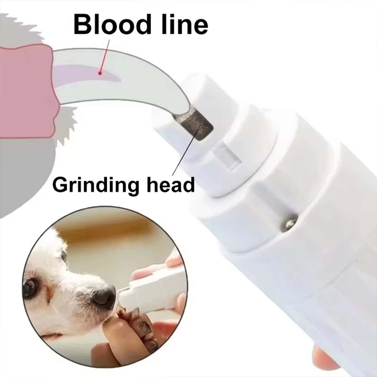 Penggiling Kuku Hewan Pelihara - Pet Nail Grinder ulasan dan harga