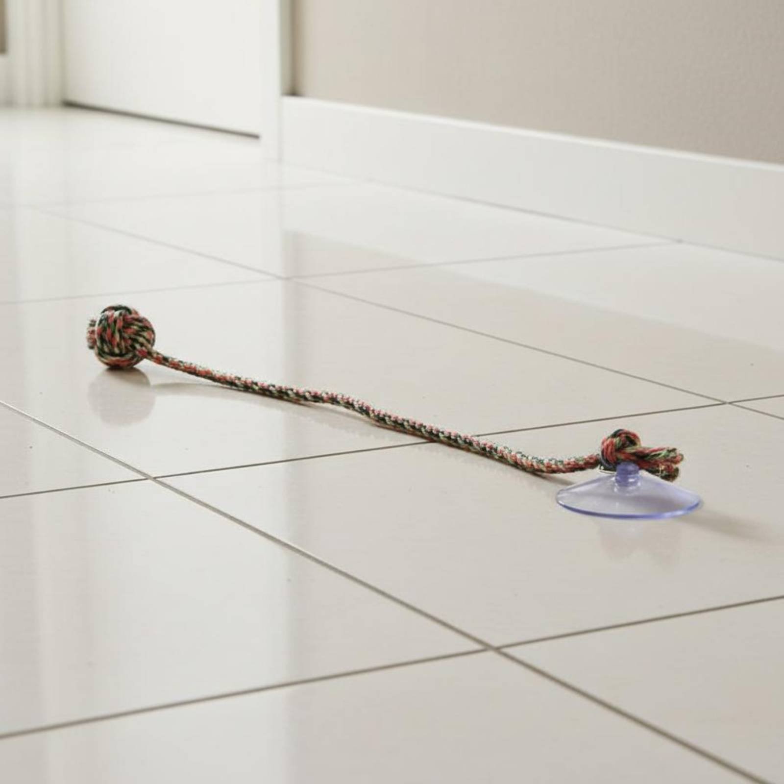 Mainan Anjing Suction Disc Int - Pet Supplies Young ulasan dan harga
